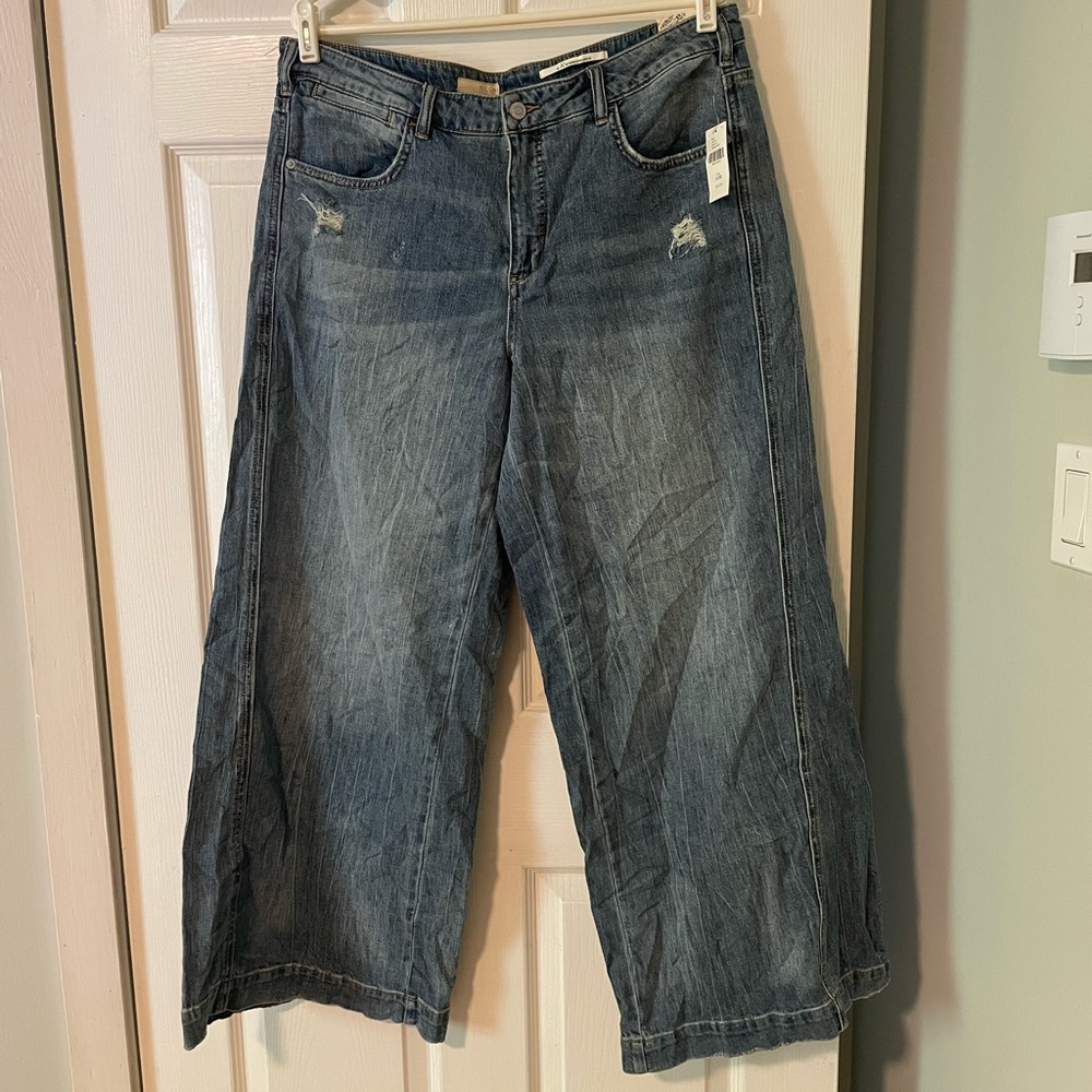 NWT Anthropologie Pilcro wide leg jeans